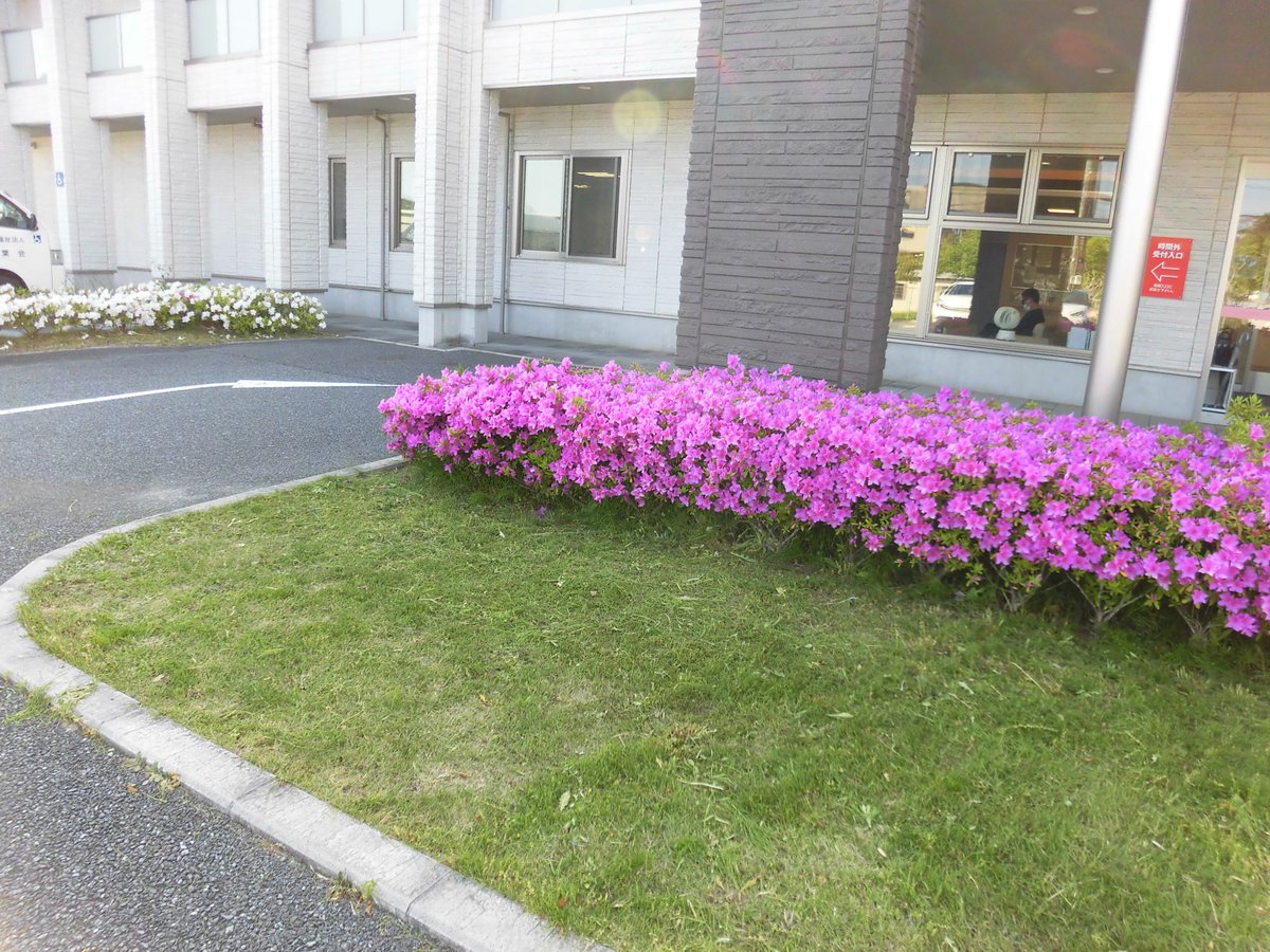 futaba_fuzoku's tweet photo. 5月11日（月）にクリーンマンデーを実施しました🌿　　　
皆さんのご協力のおかげできれいになりました！✨
←Before                                   After→ https://t.co/PV2WCG8eb5