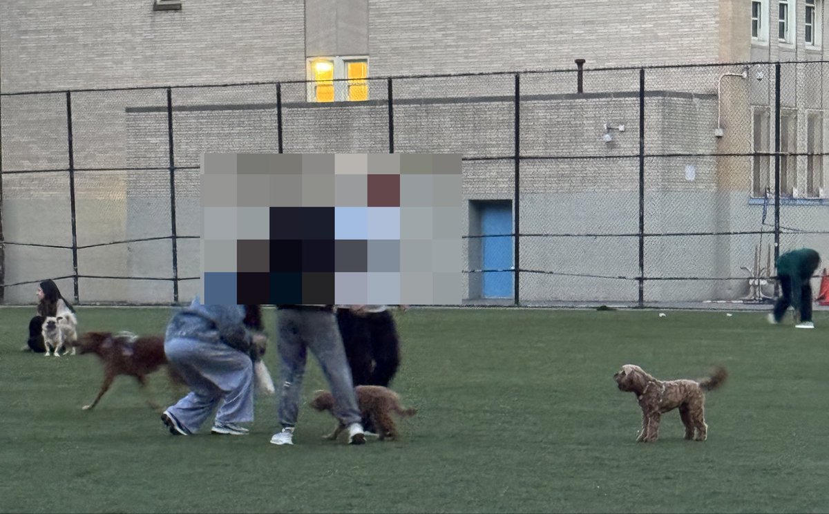 nyirinka's tweet photo. Here’s an idea on how to get some revenue for the city @NYCMayor - ticket owners with off leash dogs! Just one hour from one “no pets allowed” park can bring in well over $1000. #nopetsallowed #nopetsinparksforpeople #offleashdogs #finedogowners https://t.co/rOmtJVelZa