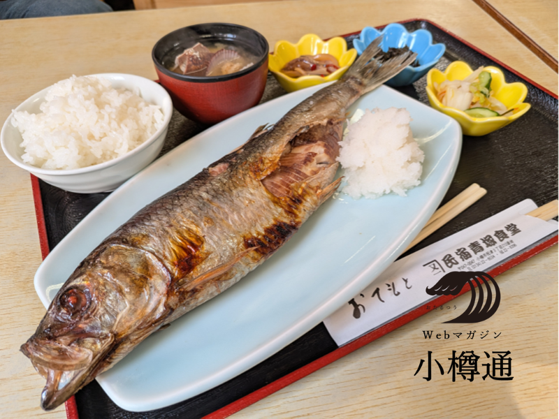 小樽よいとこ tweet media