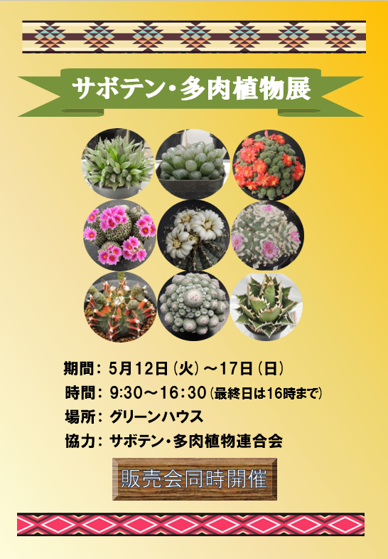fcofuna's tweet photo. 🌵サボテン・多肉植物展🌵
 グリーンハウスにてサボテンや多肉植物を展示中です
約190点もの個性豊かな株たちが勢ぞろい✨
 あわせて販売も行っています！
 
 5月17日㈰まで開催予定♪
 お気に入りの一株、見つけてみませんか？
#大船フラワーセンター #鎌倉   #サボテン #多肉植物 #サボテン販売 https://t.co/3Cx99qmsV5