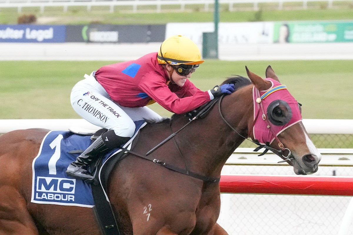 Kilmore Racing Club tweet media