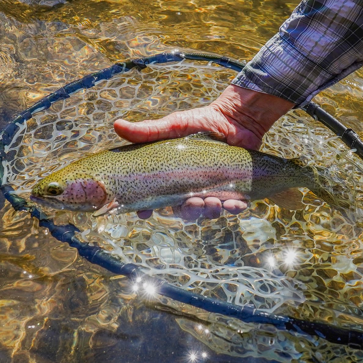 FRCcrew's tweet photo. A view that never gets old..

#Teamtoothman #HarmansCabins #WVDNR #YetiCoolers  #ColomboLaw #fishpondusa #flyfishing #fishing #travel #mountains #explore #lifeonthefly #frc #flyrodchronicles https://t.co/fk30tmqOOg
