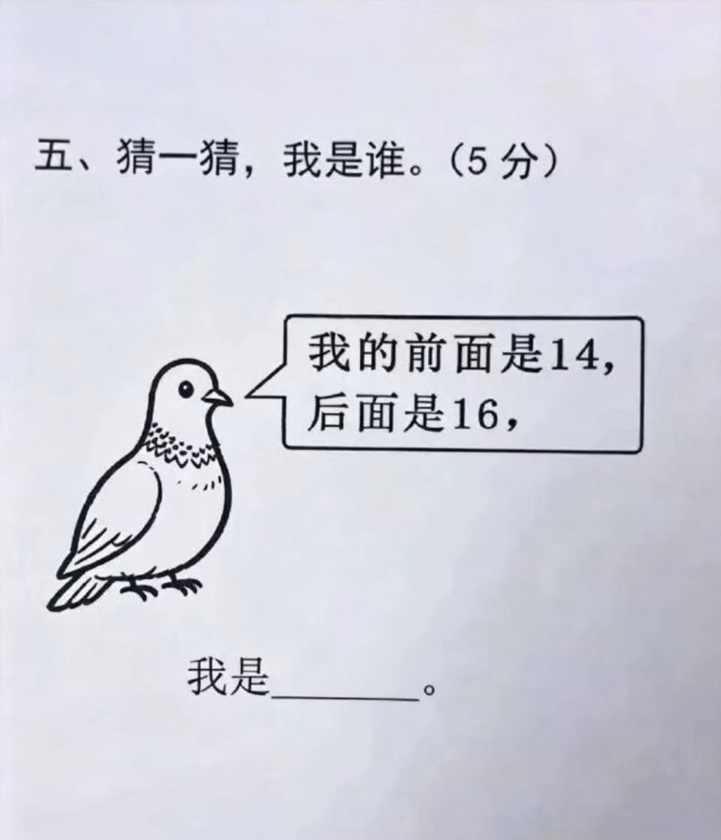 禿道道🐟 tweet media