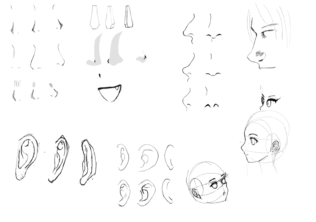 lapsniffer's tweet photo. day 59/365
今日は鼻と耳を練習した

nose and ear studies today

#rkgk #イラスト #絵描きさんと繋がりたい #落書き #練習 https://t.co/Qj9SqoF9CA