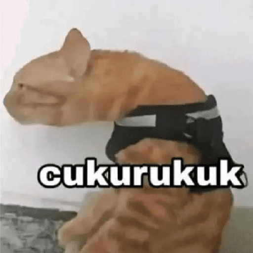 Ben Dhuk tweet media