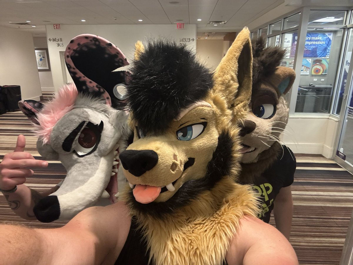 VexedLupine's tweet photo. https://t.co/e3ezVeTQui