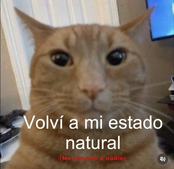 DrAbbuud's tweet photo. LUNES DE BITS
RT Y SALUDITOOO VENTEEE https://t.co/bplEFsyH0f
