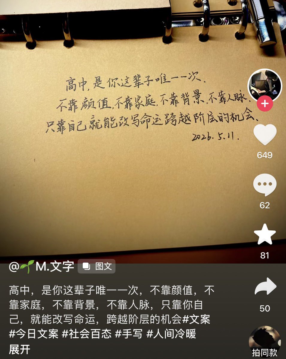 Phoenix Yin tweet media