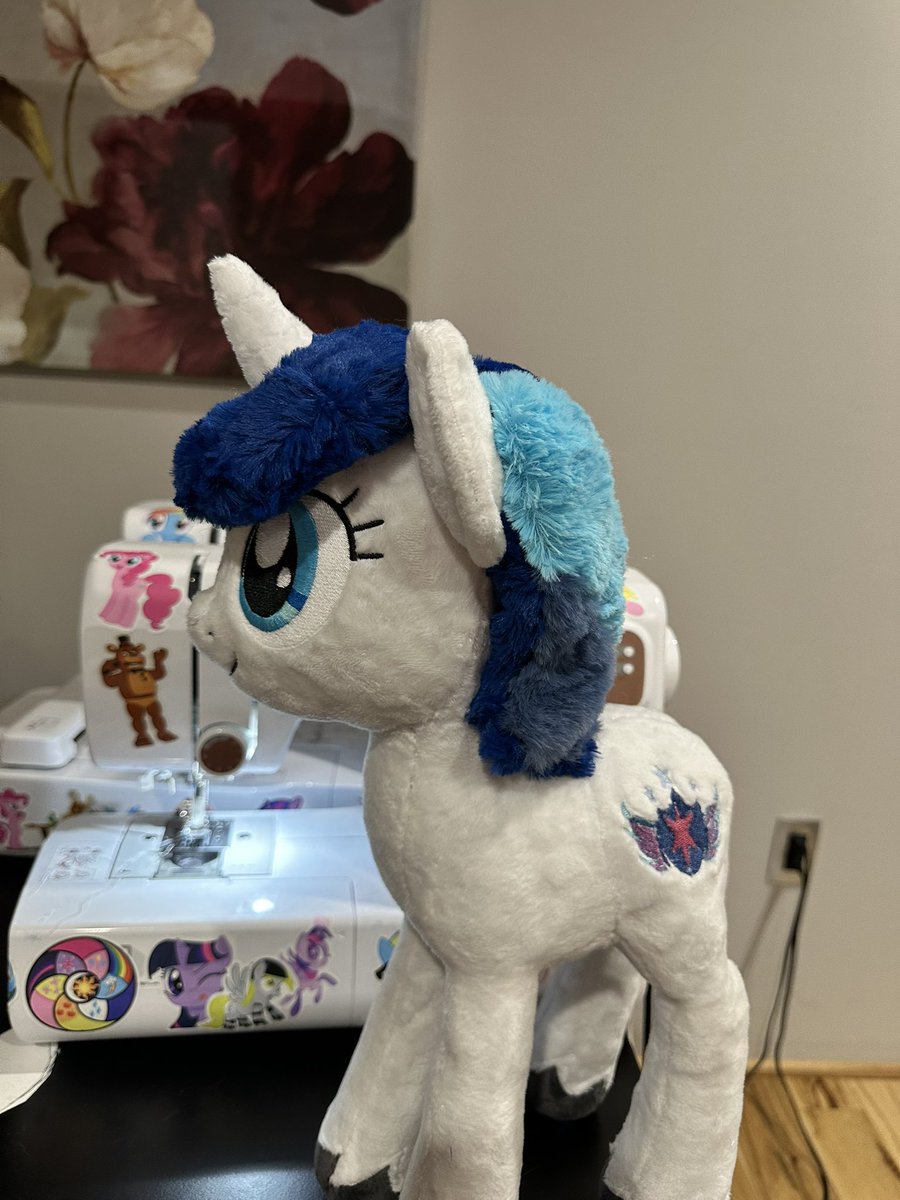 AceGuardPony tweet media