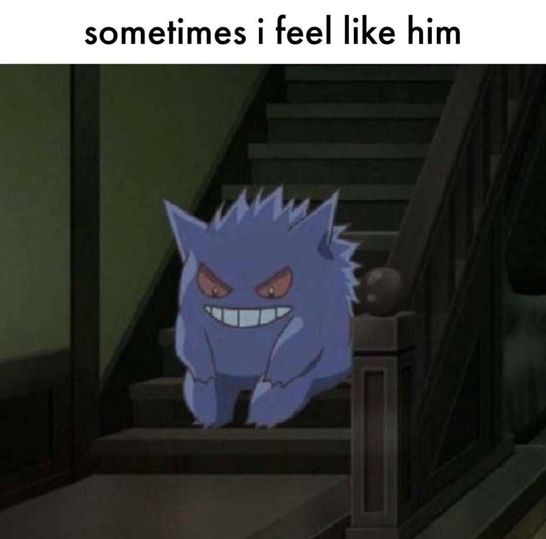 Pokémon Daily tweet media
