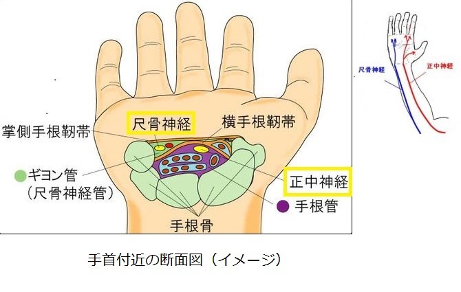 からす tweet media
