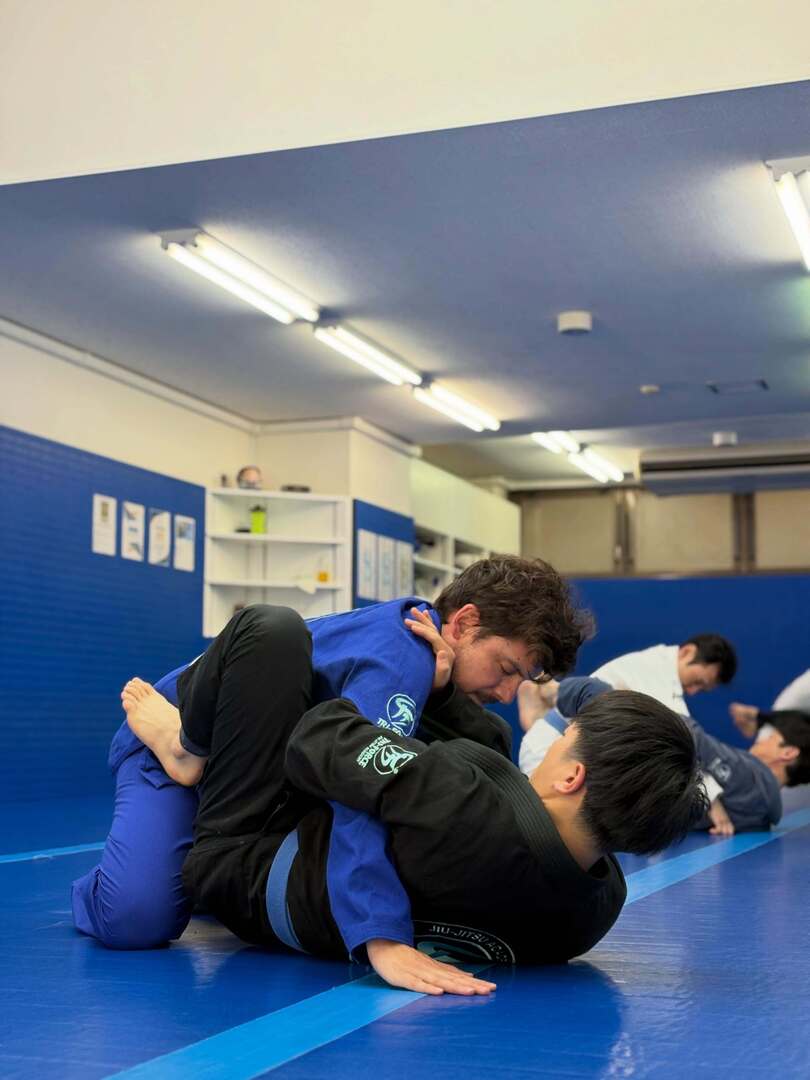 トライフォース柔術アカデミー Tri-force jiu-jitsu academy tweet media