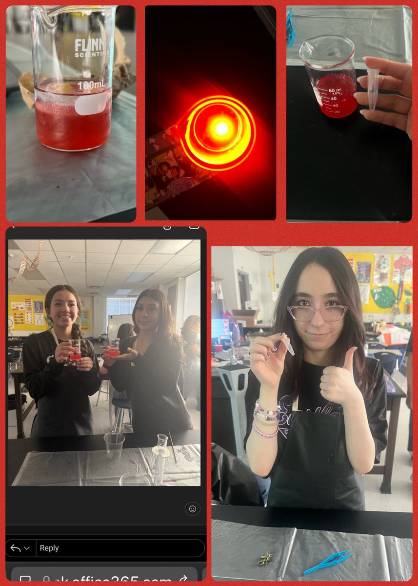 bhenderson_EHS's tweet photo. 🍓All time favorite- students absolutely love Strawberry DNA 🧬 Extraction Lab 🍓 smiles don’t lie 🍓🧬 @Desigo13 @Eastlake_HS_ https://t.co/mjL3odlo9o