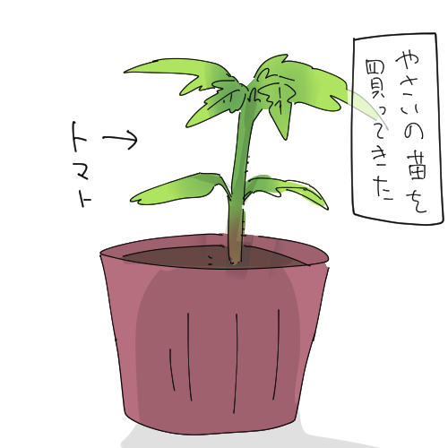 ごん　資材は尽きた tweet media