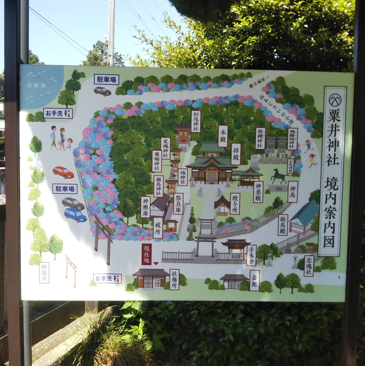 粟井神社 
 観音寺市粟井町

主祭神
天太玉命

天太玉命に御挨拶へ伺いました。
梅雨の紫陽花シーズンは、お社が紫陽花で包まれます😊