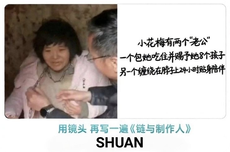 董卫兵Zhiminist⛓️ tweet media