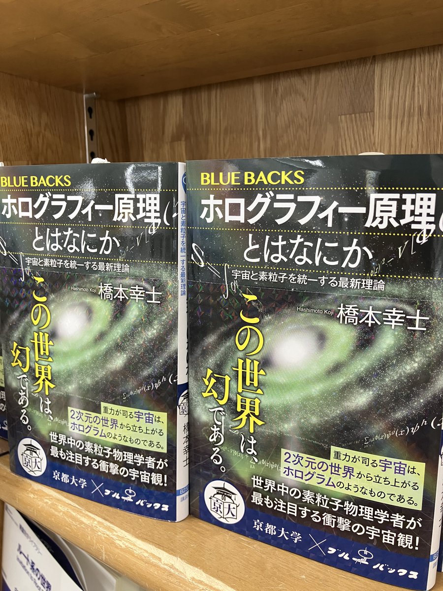 平面の国の不思議な物語 二次元の世界: 二次元の世界　EAアボット　講談社　ブルーバックス　新書 (ブルーバックス E.A. | 315) 人文