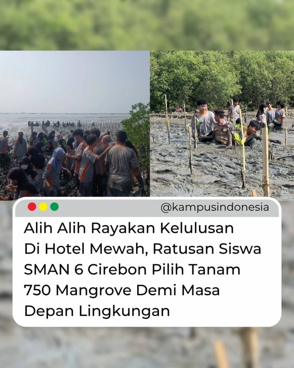 Denni Sauya tweet media