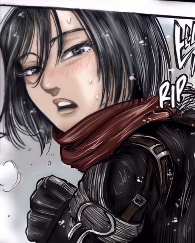 mikasababymama_'s tweet photo. Mikasa drawn in the manga is perfection. I love when Isayama highlights her Asian features it’s so pretty https://t.co/DCFhnK81EH