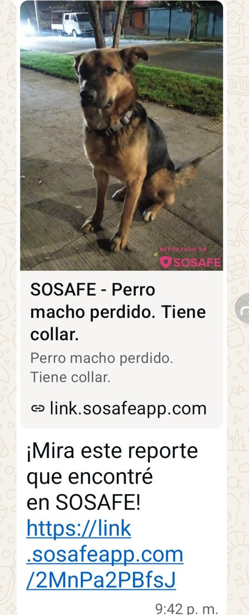 Fundacion_CIMA's tweet photo. Nos avisan que este amiguito está en la comuna de P.A.C. (al parecer está perdido)
Ayudemos a #Difundir x favor🙏🙏🙏🙏🙏🙏 está publicado en SOSAFE https://t.co/4EX3y0Ep5X