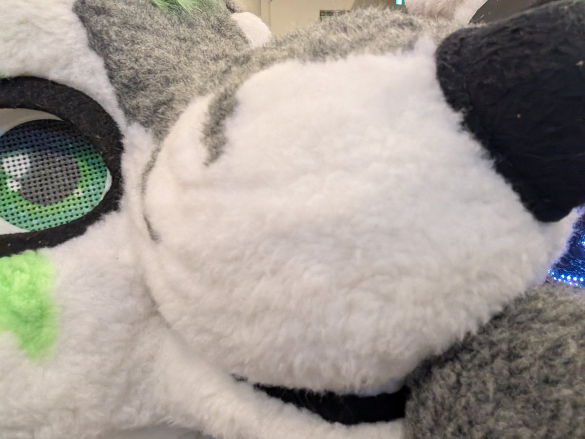 #ケモすて5 #FursuitsEveryday 
モヒ〜〜〜〜〜〜ト！！！！1年間ずっと会いたかったんだよナ😌