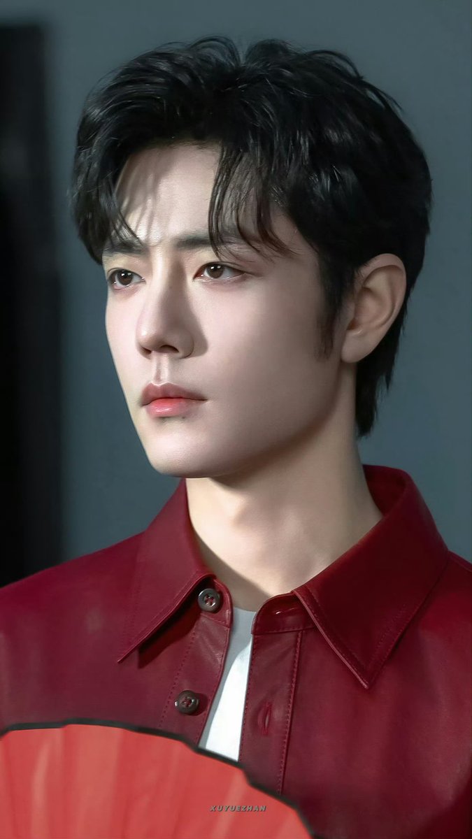 Xiao Zhan File 📁 tweet media