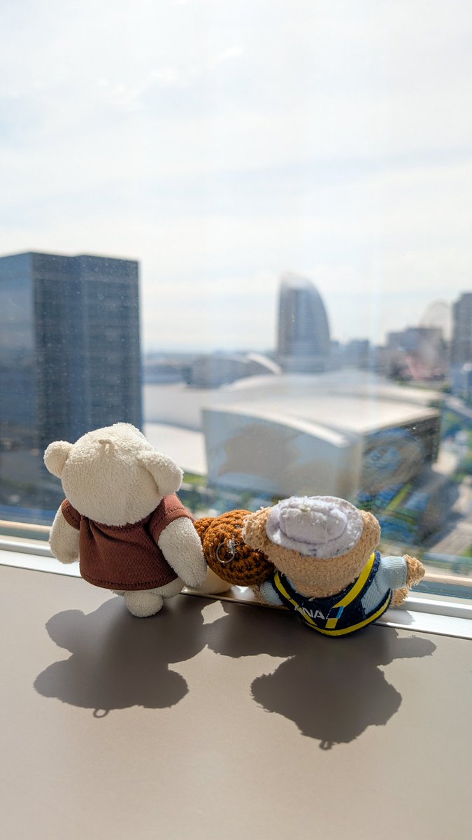seibi3_beardo3's tweet photo. 🧸🐻‍❄️🐻 ゴールデンウィーク たのしかったよ☺️🥰😉 https://t.co/zYw1y5Nbzs