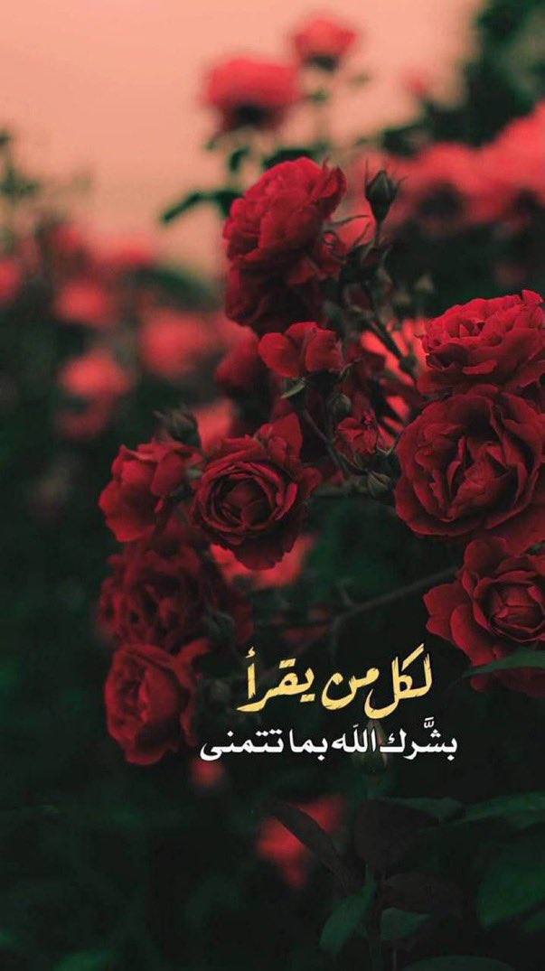 🤍نـورة💙 tweet media
