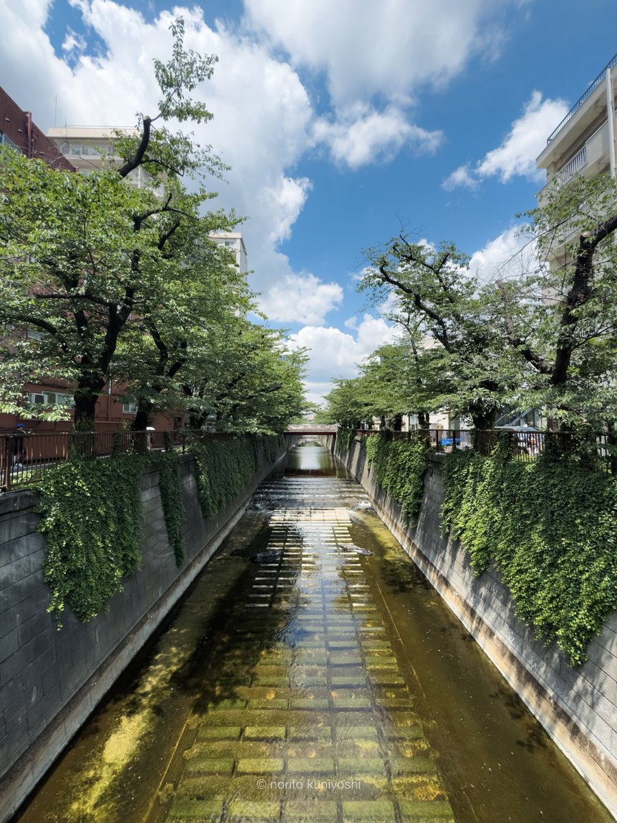 norito_RGBMOV's tweet photo. 久々のRUN
体を整える。清々しいなー
#目黒川 #RUN #walking https://t.co/jSxk90Uz3l