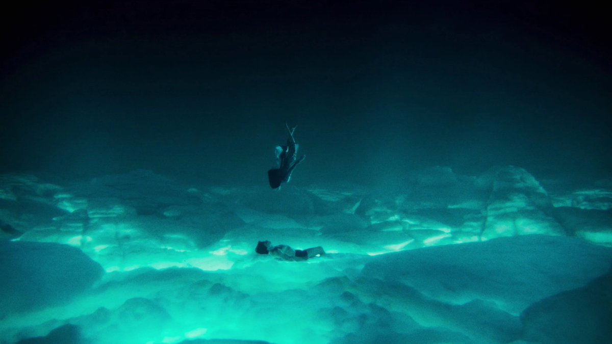 Francisco tweet media