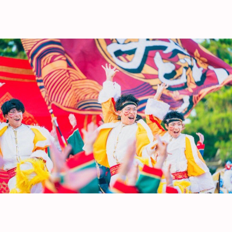 京都さくらよさこい tweet media