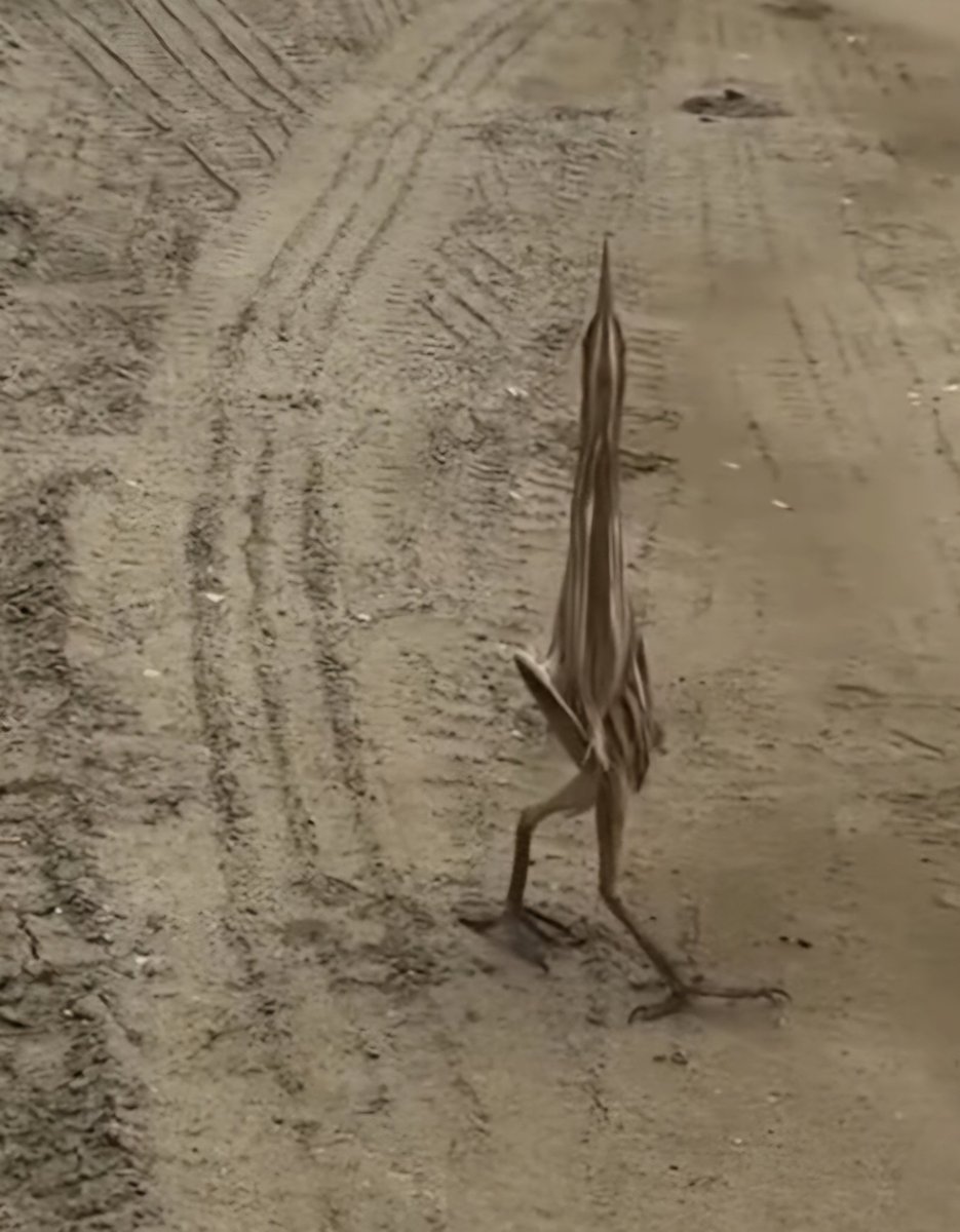 HePing45182's tweet photo. this slop bird looks like a fckng brainrot https://t.co/SEqiN6XS9W
