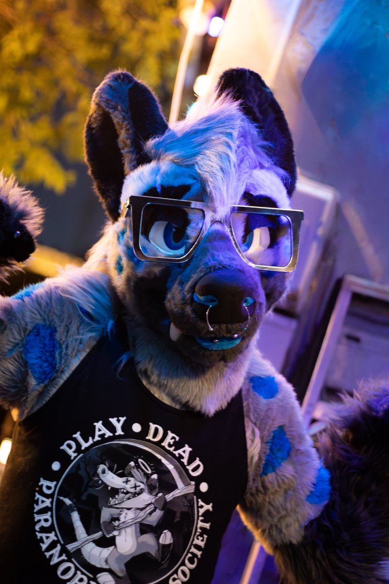 Smoke Hyena (Hash) tweet media