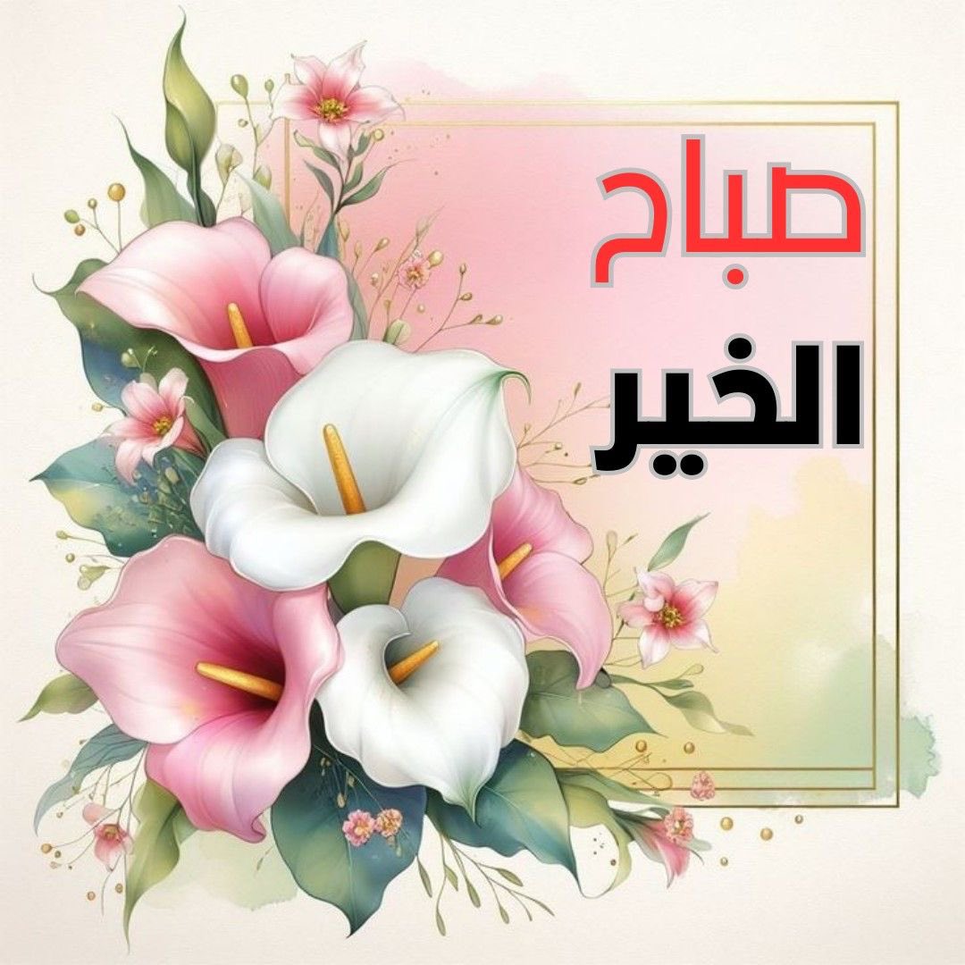 🦋🕊️❤️🇰🇼كويتاويه 🇰🇼 tweet media