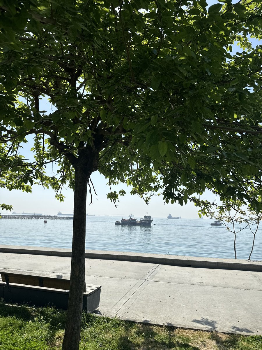 sebahattin yiğit 🇹🇷 tweet media