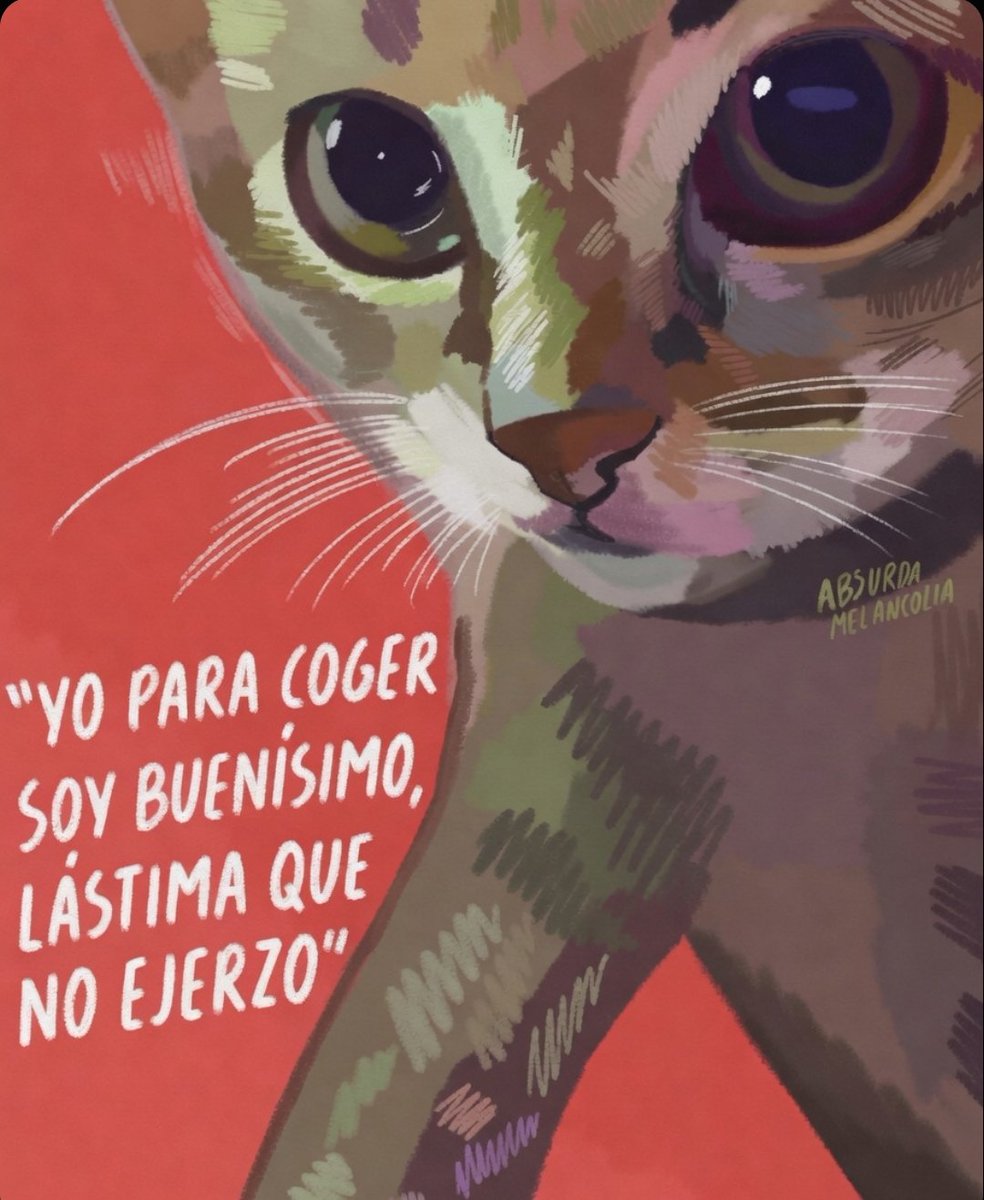 Absurda Melancolía tweet media