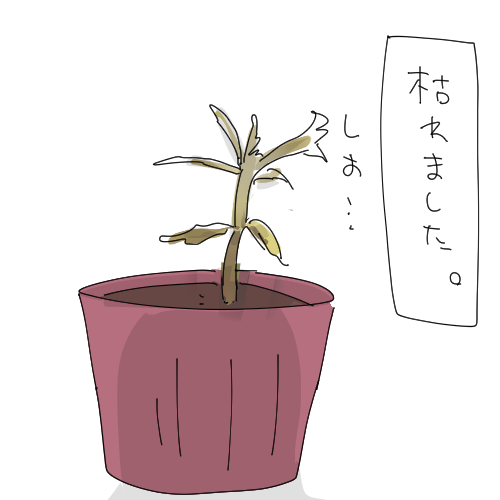 ごん　資材は尽きた tweet media