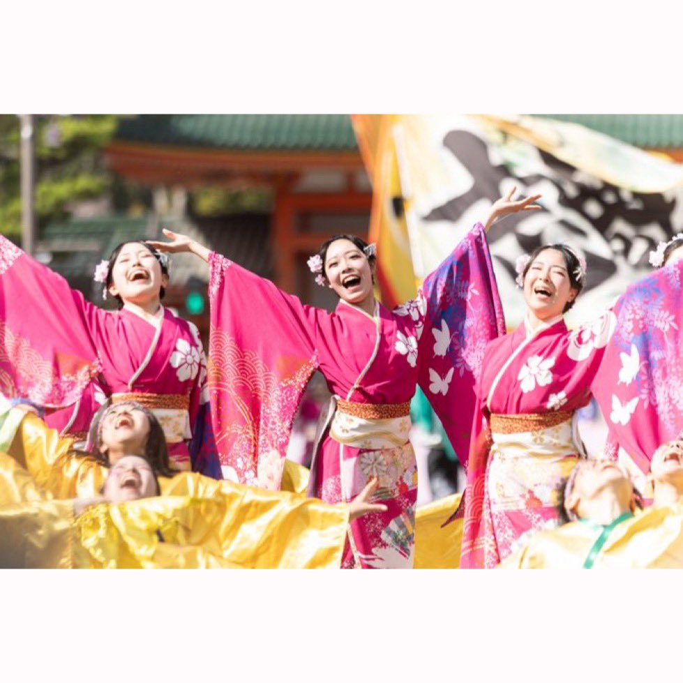 京都さくらよさこい tweet media