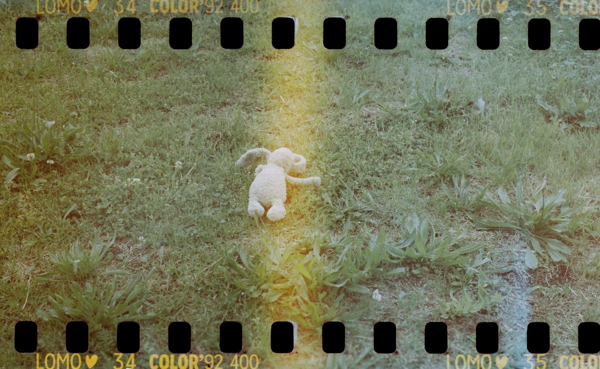 YNGplanning's tweet photo. ZeissIkon Superikonta 532/16
LomoChrome Color ’92 Sun-kissed 35mm ISO 400

中判に35mmフィルム
面白い！
ただ光漏れてるのかムラすごい。 https://t.co/VuBH09sD37