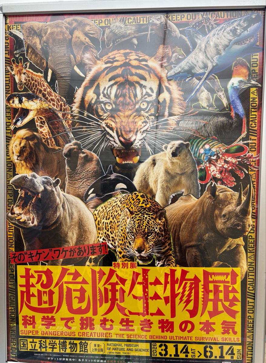 uriko5601's tweet photo. GW引き篭りだったので少しお出かけ🎈

超危険生物展へ行ってきました！
生き物全般が好きなのでもう大満足✨
推しのヒクイドリを何枚も激写してしまった🤣 https://t.co/5I10Vl62zL