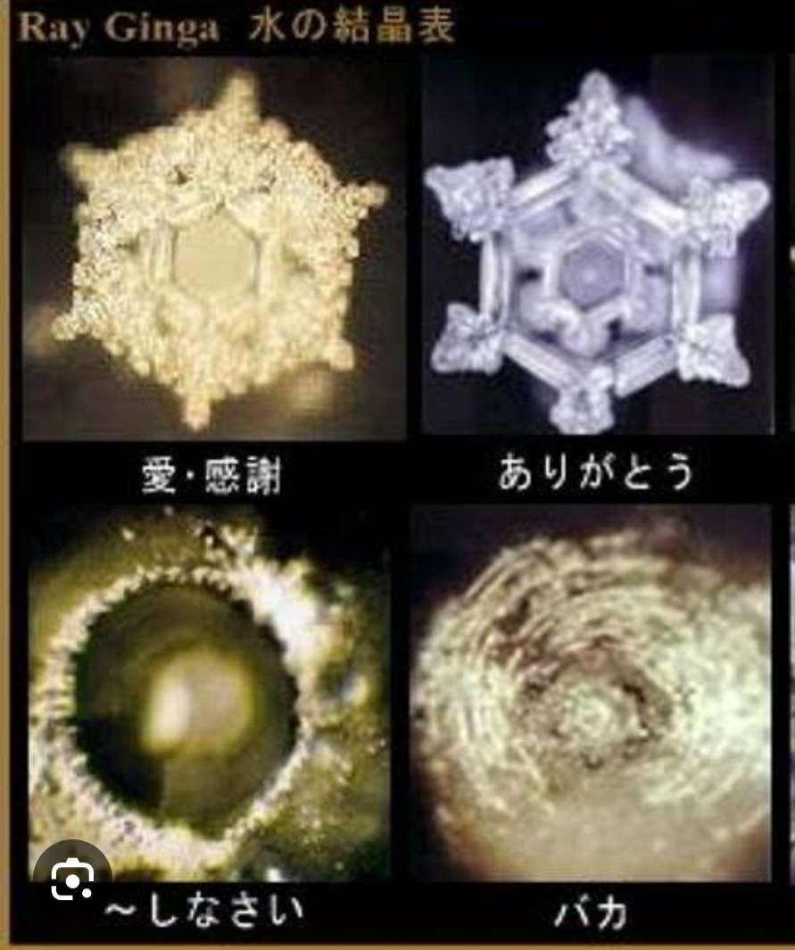 真実の扉 tweet media