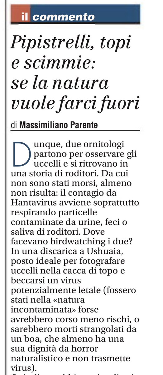 Massimiliano Parente tweet media