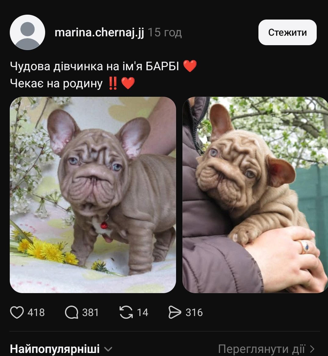 Повелителька псів tweet media