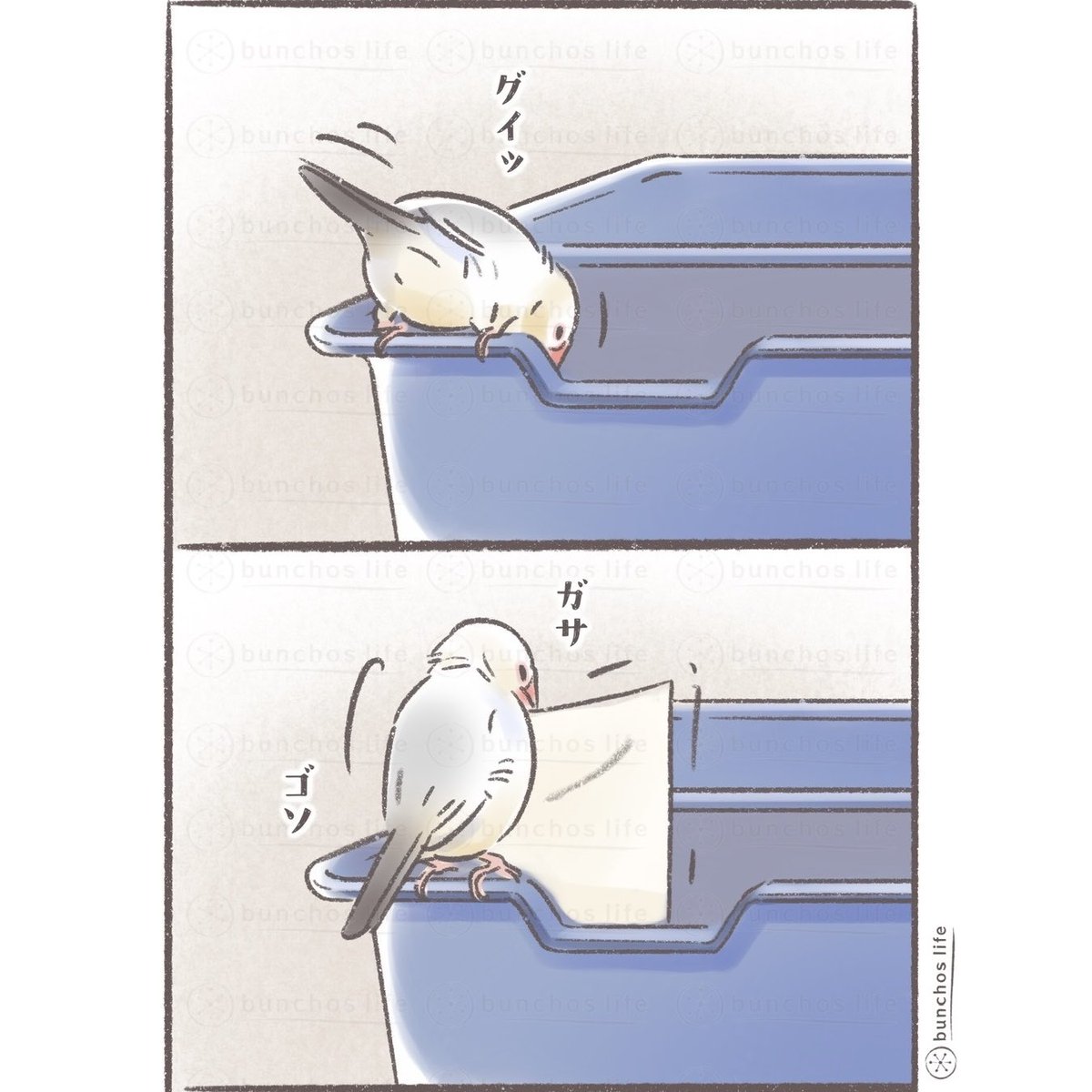 こむぎ🕊️ (@komugi_chan55) / Posts / X