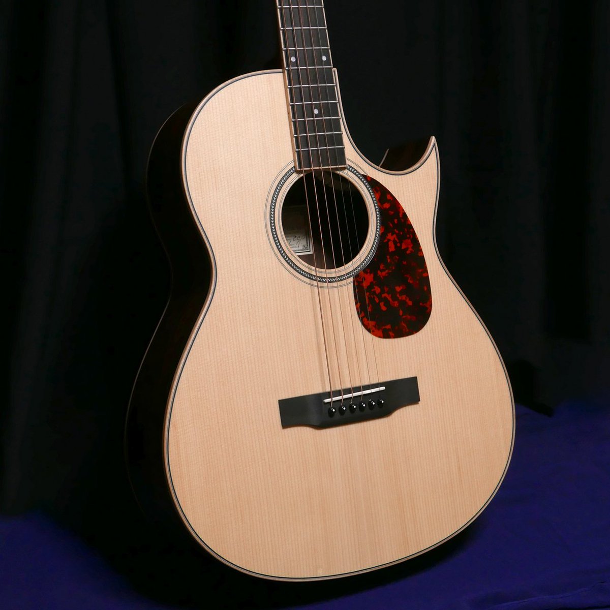LarriveeC-03R TE Tommy Emmanuel 20数年前、トミー・エマニュエルへの