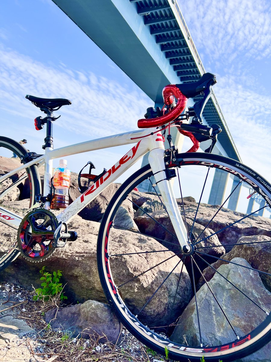 samaRIDLEY31's tweet photo. 🌊🌉
 #RIDLEY https://t.co/xINpN3WcmX