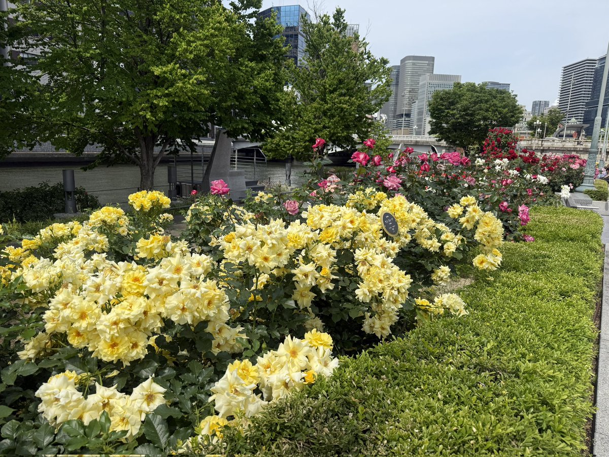 京阪電車おでかけ情報【公式】 tweet media