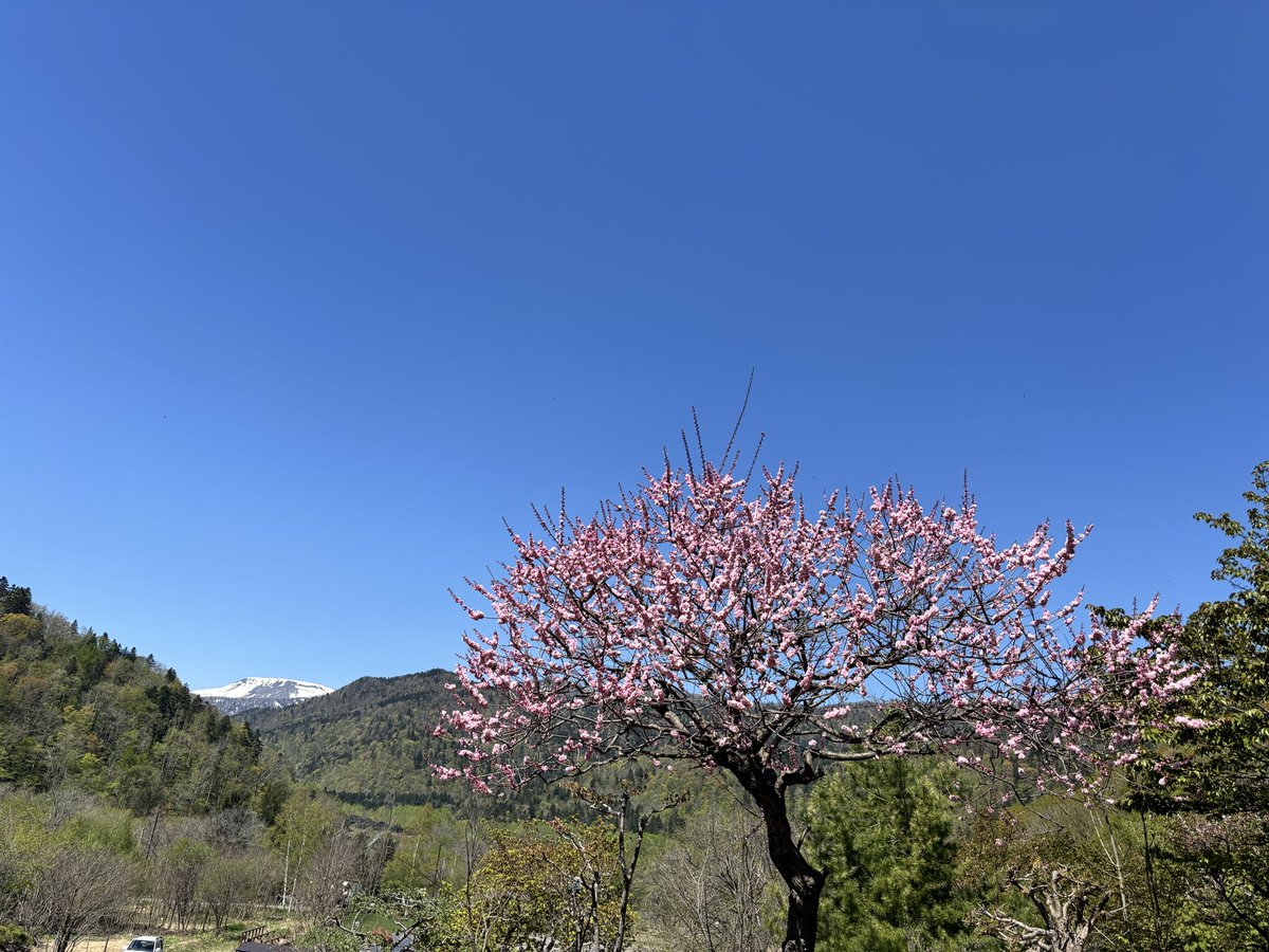 豊平峡温泉 tweet media