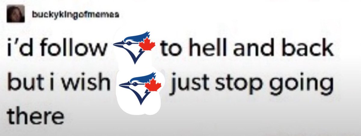 paige ౨ৎ tweet media