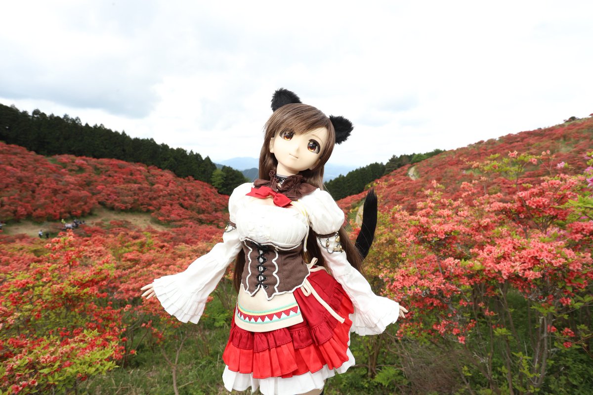 azuchi3's tweet photo. 天気予報では、11時まで晴れのはずなんだが曇ってるねw https://t.co/HVQlqiUOy6